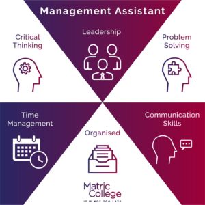 Management Assistant